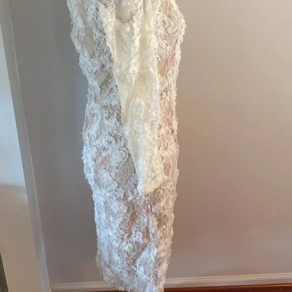 XSCAPE size 4 stunning lace dress tan lining - Picture 6 of 13